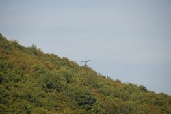 Am Edersee (65)